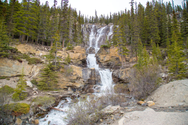 Tangle Falls, Icefields Parkway, Jasper National Park