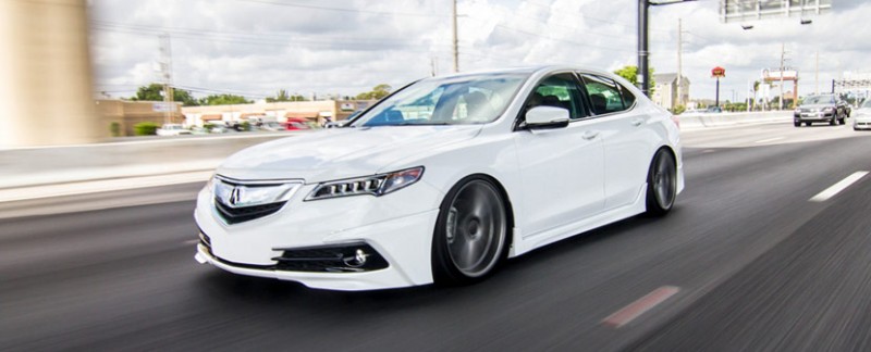 Bellanova White Pearl Acura TLX