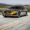 2021 Acura TLX Type S in Tiger Eye Pearl